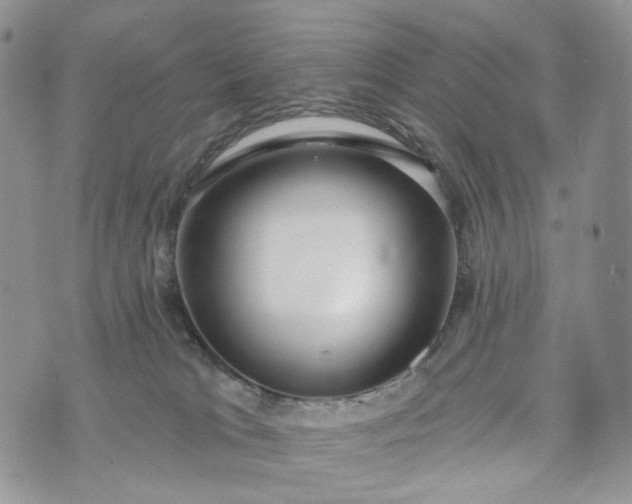 X0000072970037200608041229