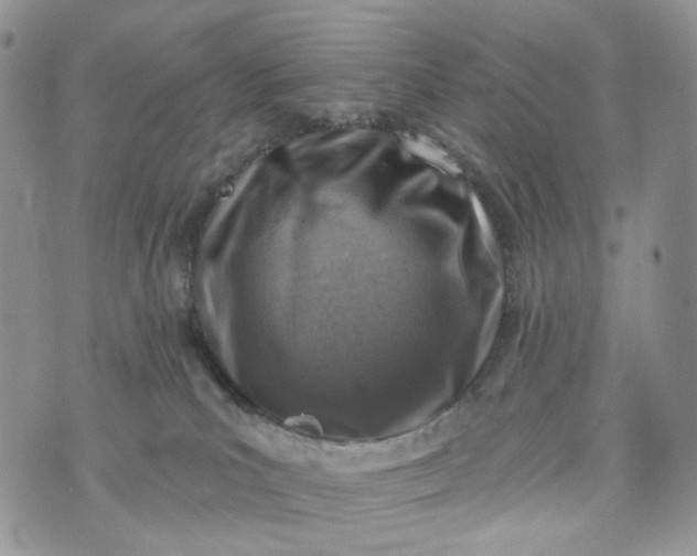 X0000072970039200608041229