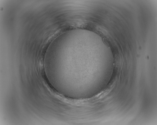 X0000072970040200608041229