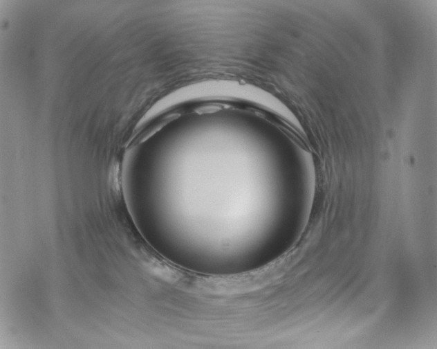 X0000072970041200608041229