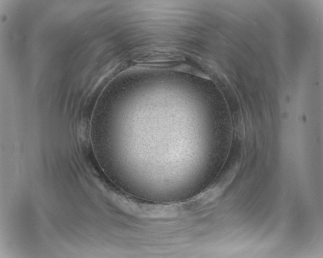 X0000072970044200608041229