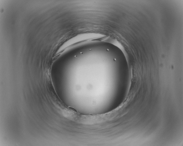 X0000072970045200608041229