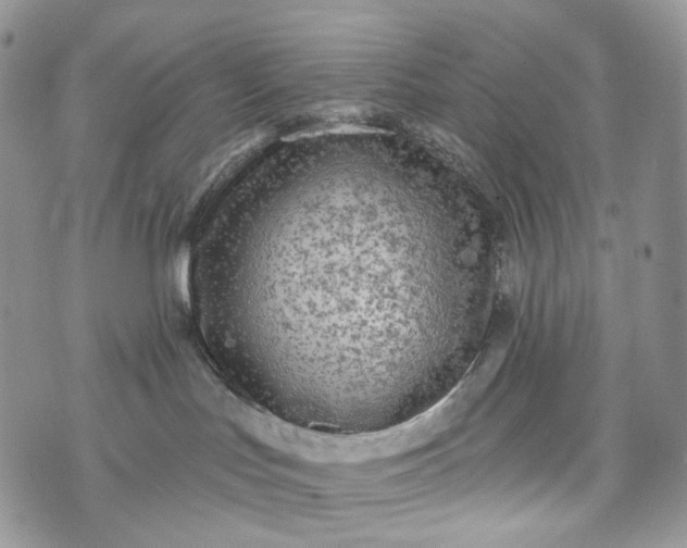 X0000072970047200608041229