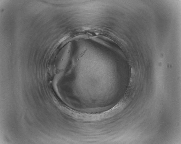 X0000072970048200608041229