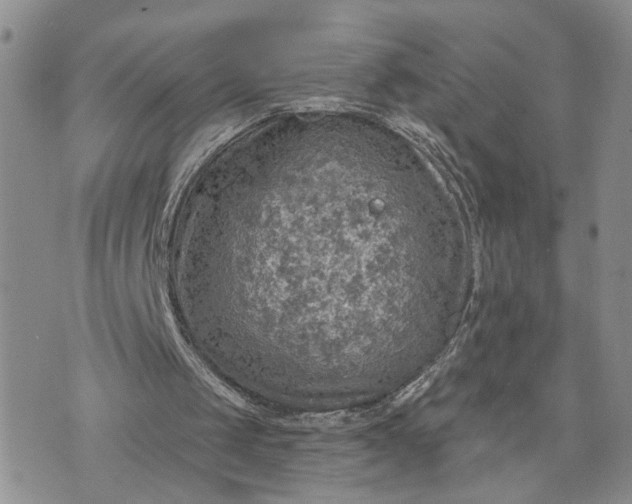 X0000072970049200608041228