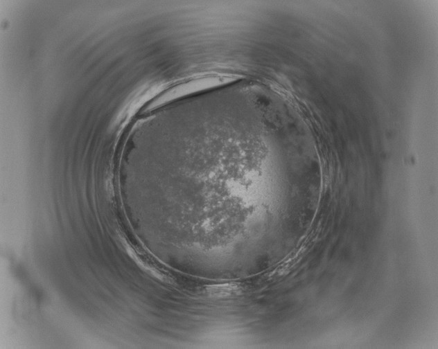 X0000072970050200608041228