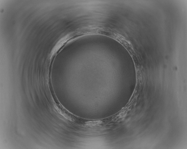 X0000072970051200608041228