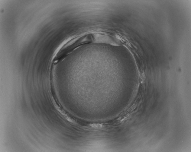 X0000072970052200608041228