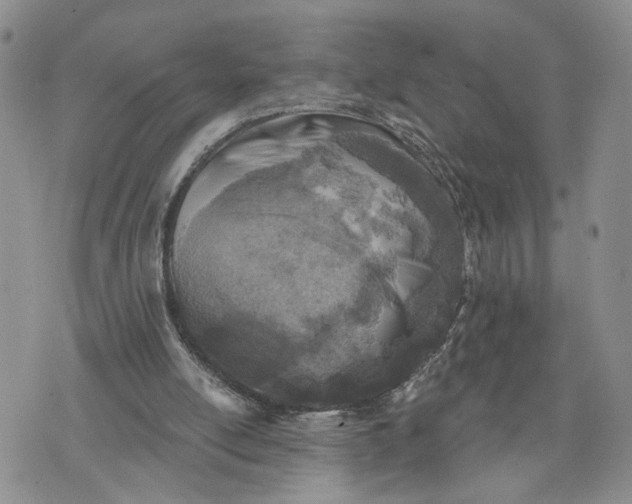 X0000072970054200608041228