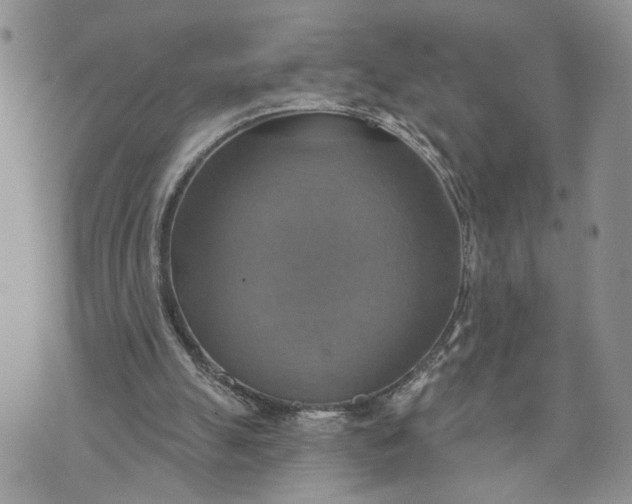 X0000072970055200608041228