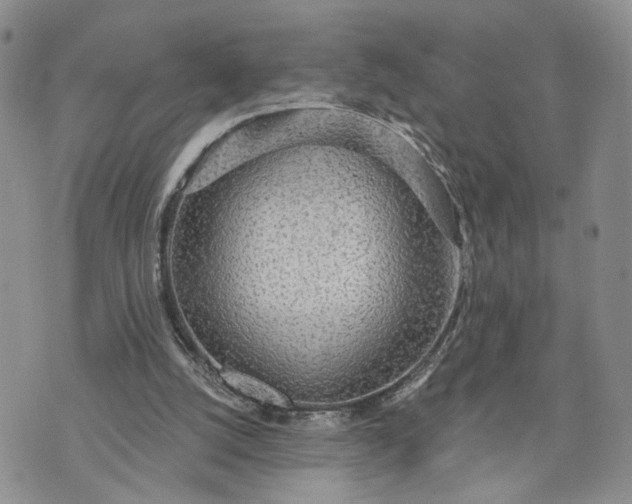 X0000072970056200608041228