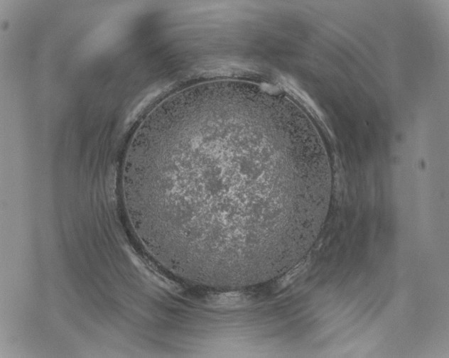 X0000072970058200608041228