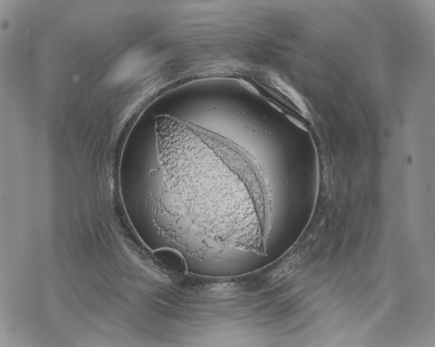 X0000072970059200608041228