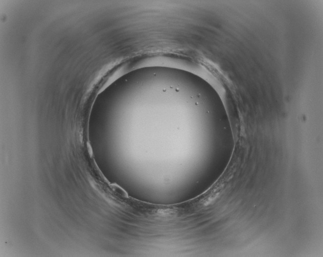 X0000072970060200608041228