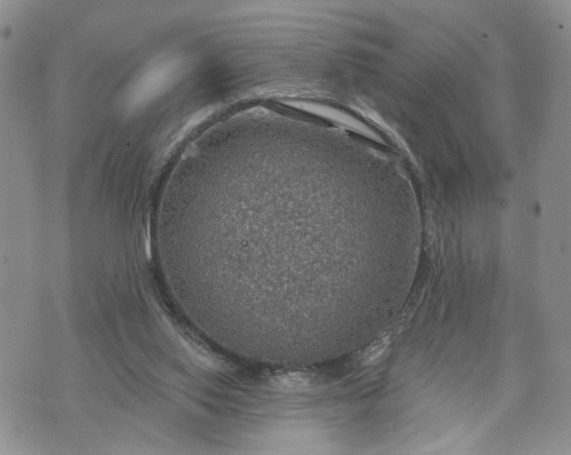 X0000072970062200608041228