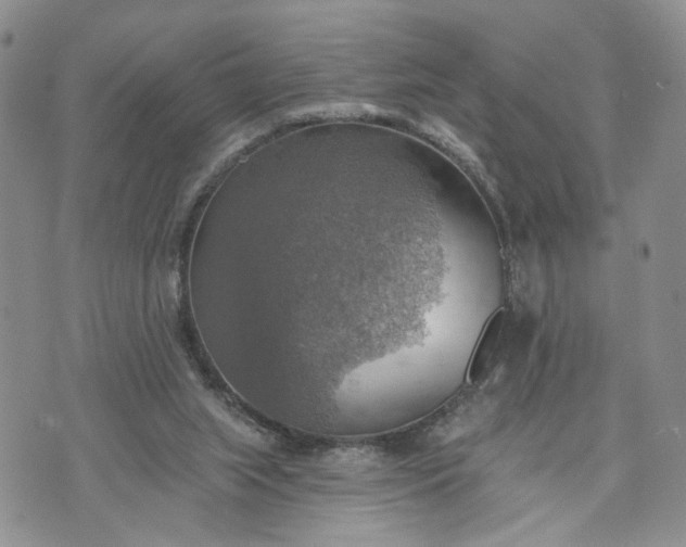 X0000072970063200608041228