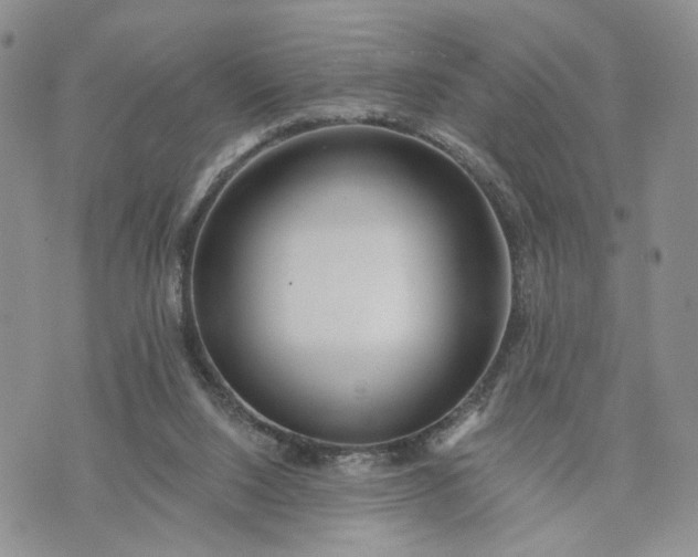 X0000072970064200608041228