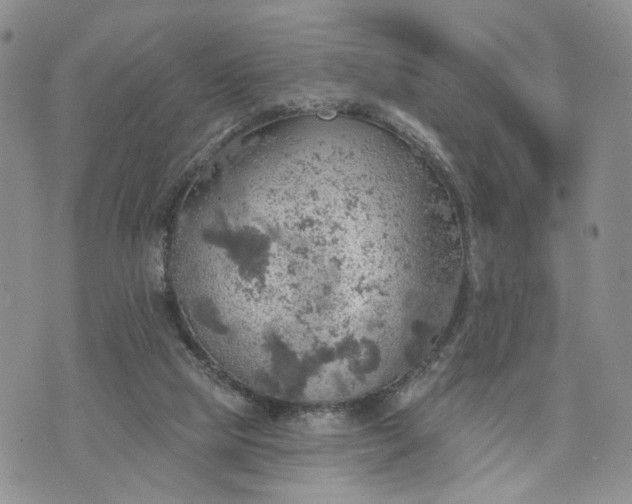 X0000072970065200608041228