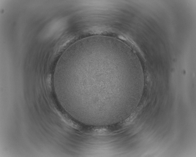 X0000072970066200608041228