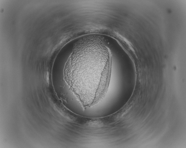 X0000072970067200608041228