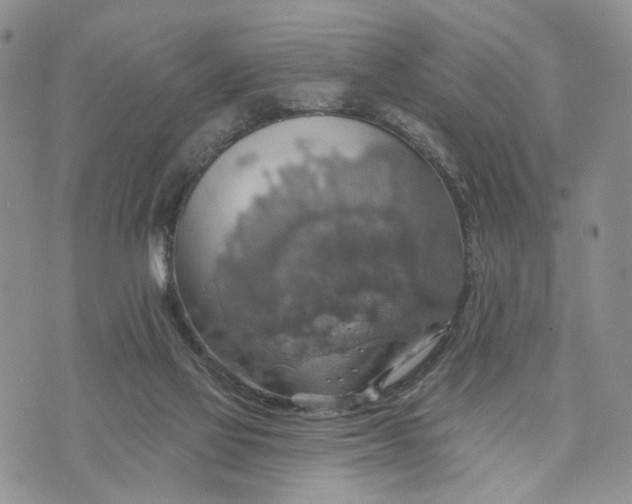 X0000072970069200608041228