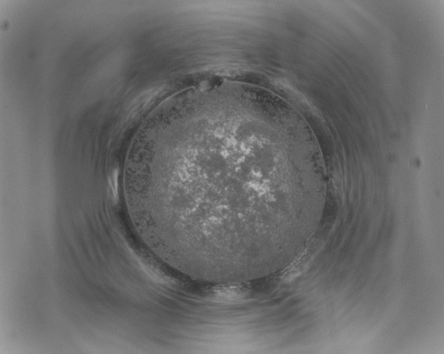 X0000072970070200608041228