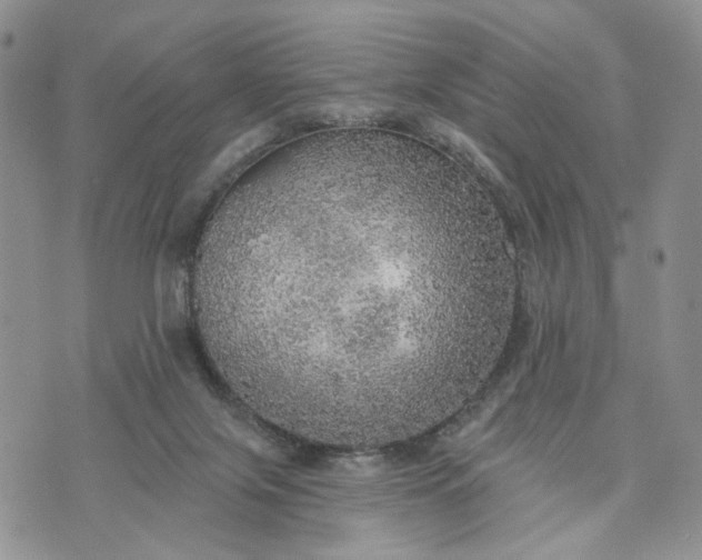 X0000072970071200608041228