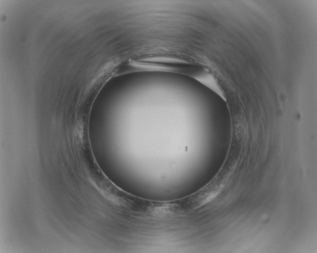 X0000072970072200608041228