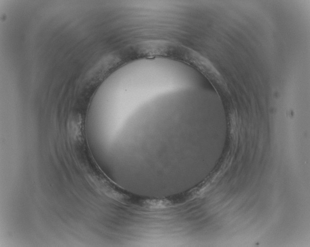 X0000072970073200608041228