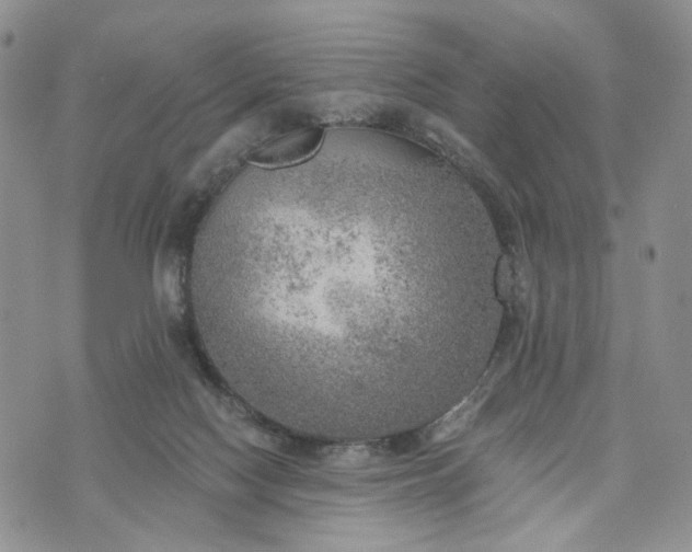 X0000072970074200608041228