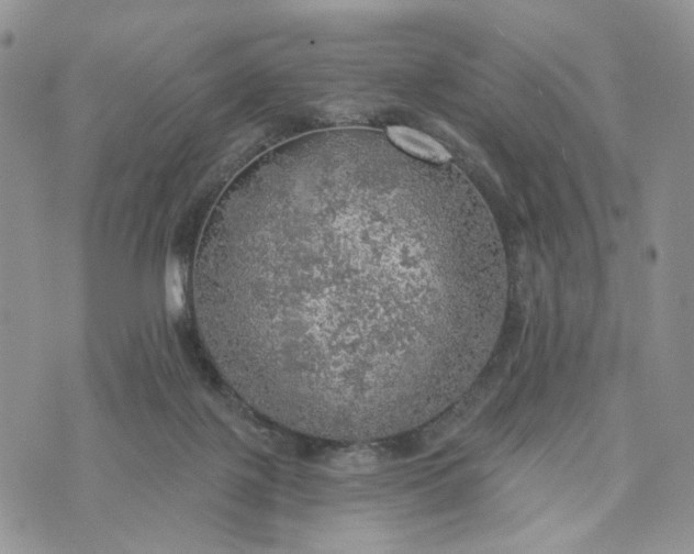 X0000072970075200608041229