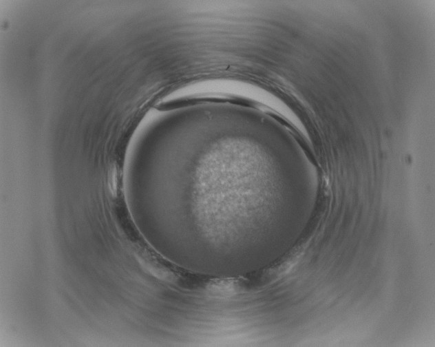 X0000072970076200608041229