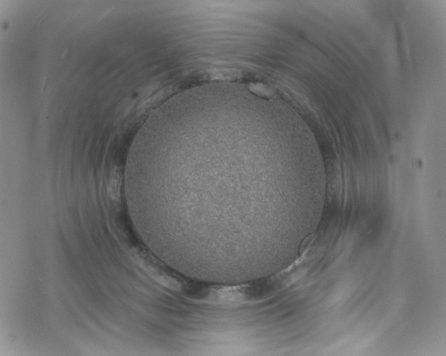 X0000072970078200608041229