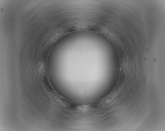 X0000072970079200608041229