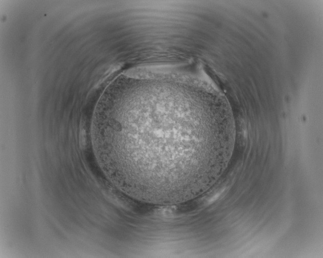 X0000072970080200608041229