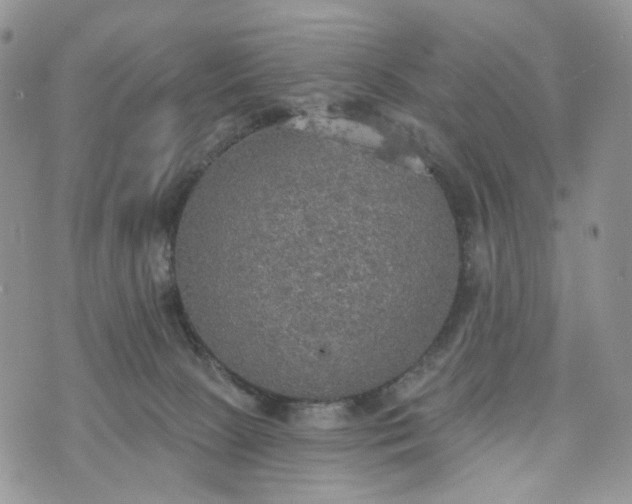 X0000072970081200608041229