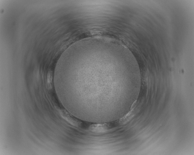 X0000072970082200608041229