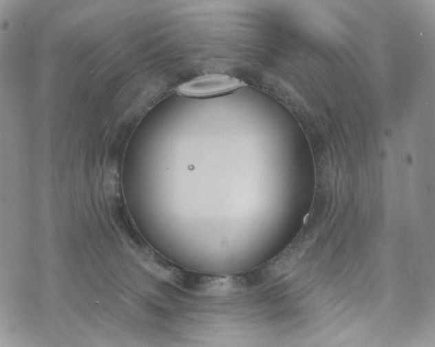 X0000072970083200608041229