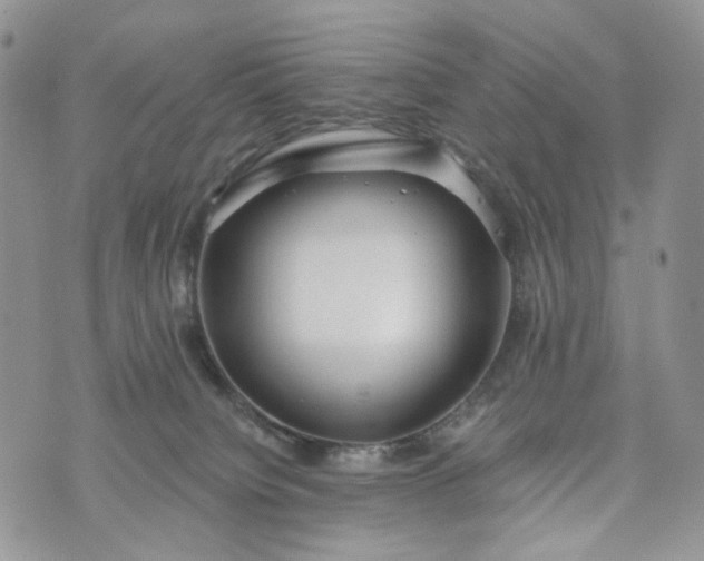 X0000072970084200608041229