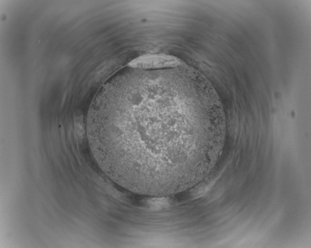 X0000072970085200608041229