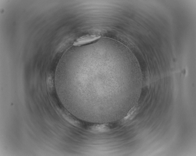 X0000072970086200608041229