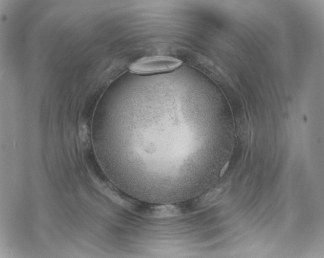 X0000072970087200608041229