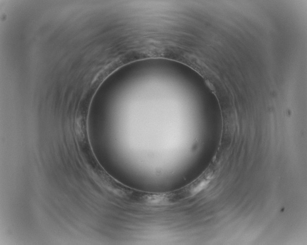 X0000072970088200608041229