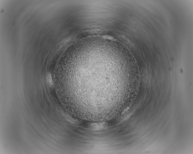 X0000072970089200608041229