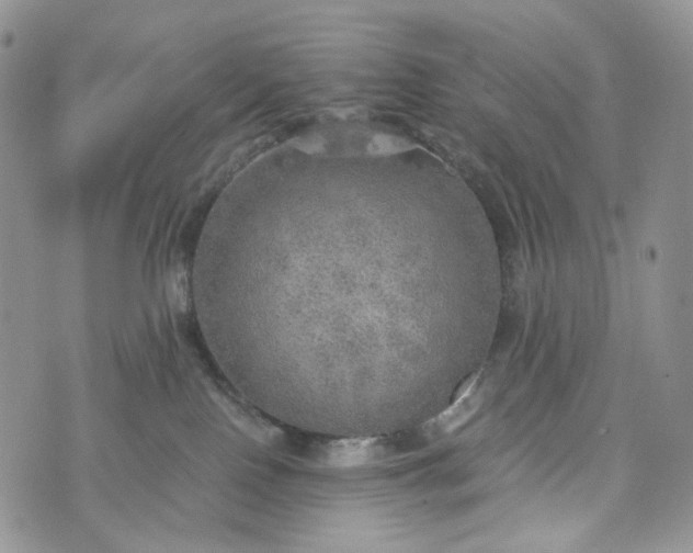 X0000072970090200608041229