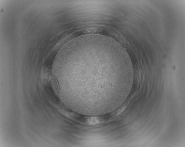 X0000072970091200608041229