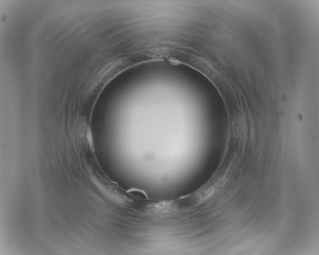 X0000072970092200608041229