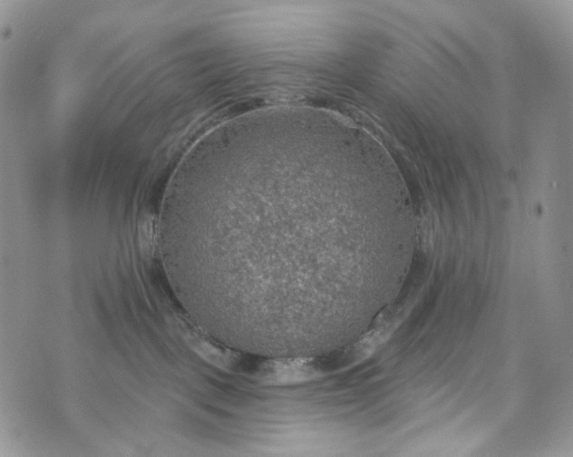 X0000072970093200608041229