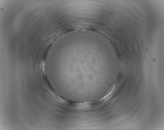 X0000072970094200608041229