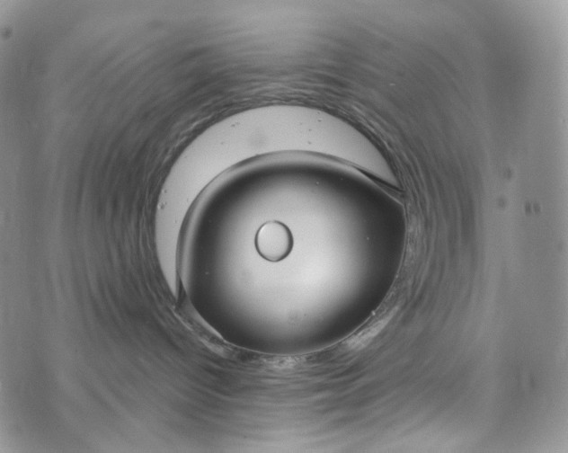 X0000072970096200608041229